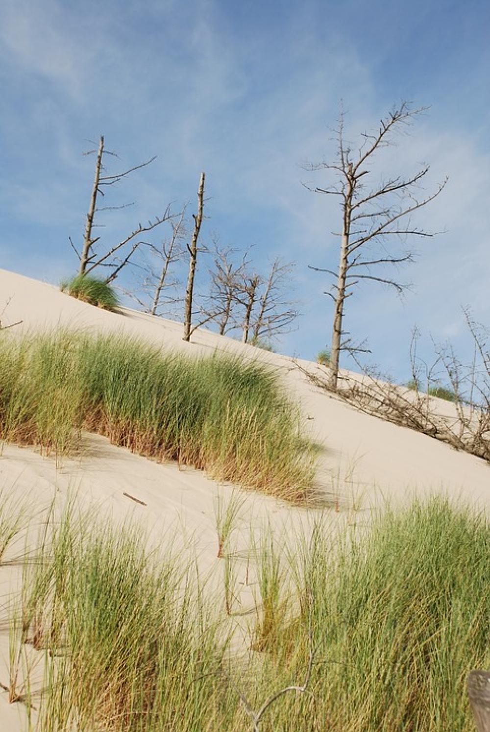 Sea The Sand Dunes Sand Dune The Baltic Sea Sea The Sand Dunes Sand Dune The Baltic Sea