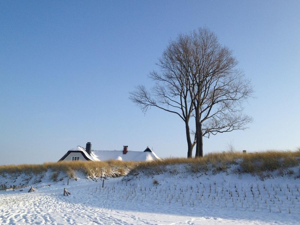 Sea Coast Snow Tree Housetop Sea Coast Snow Tree Housetop