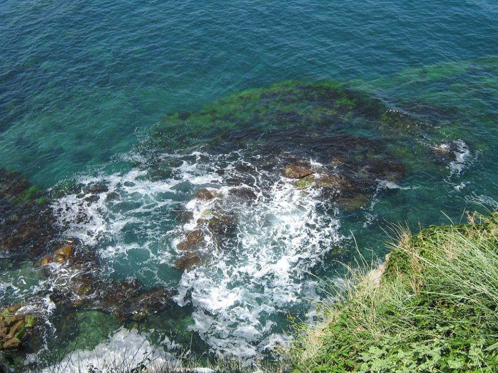 Sea Lake Wave Foam Vacations Summer Holidays Sea Lake Wave Foam Vacations Summer Holidays