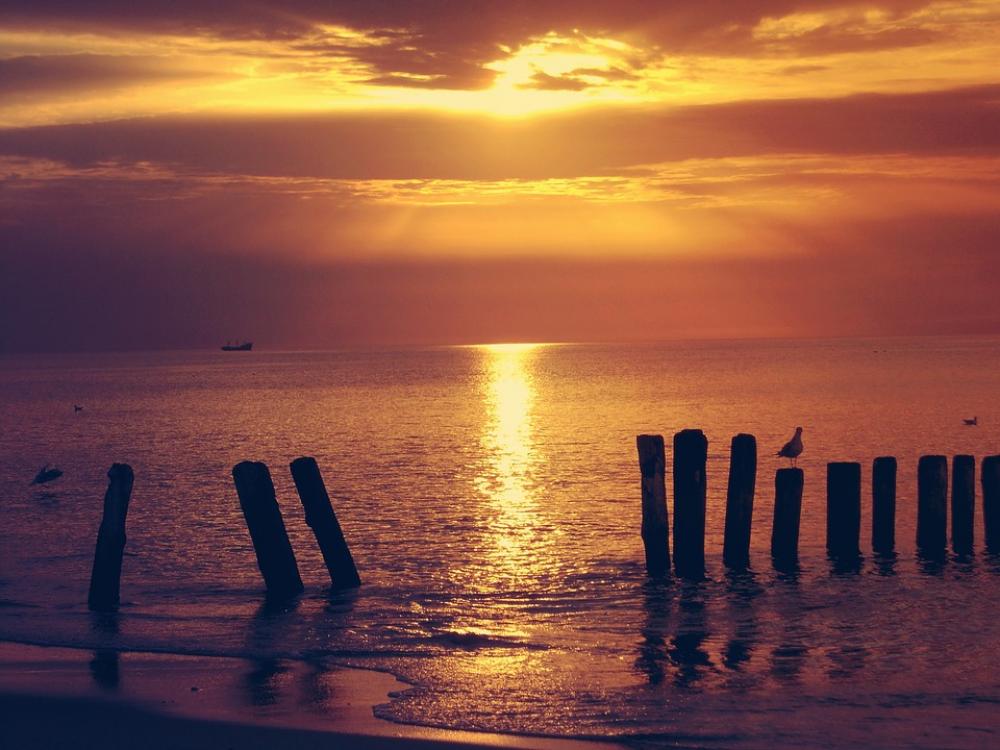 Sea Landscape Sunset The Sun Dark View Yellow Sea Landscape Sunset The Sun Dark View Yellow