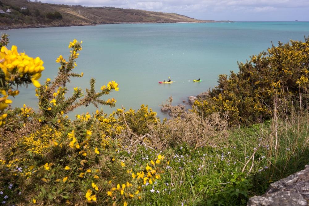 Sea Coast Cornwall Rocky Coast Water Beach Bay Sea Coast Cornwall Rocky Coast Water Beach Bay