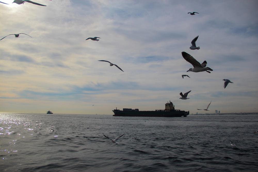 Sea Ocean Seagulls Ship Water Ships Seagull Sea Ocean Seagulls Ship Water Ships Seagull