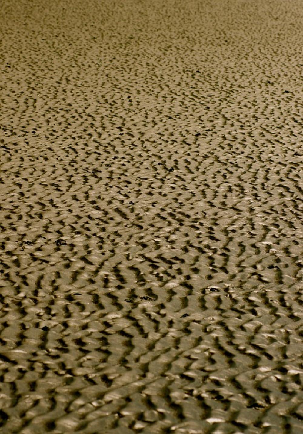 Sea Watts Wadden Sea North Sea Sand Wave Abstract Sea Watts Wadden Sea North Sea Sand Wave Abstract