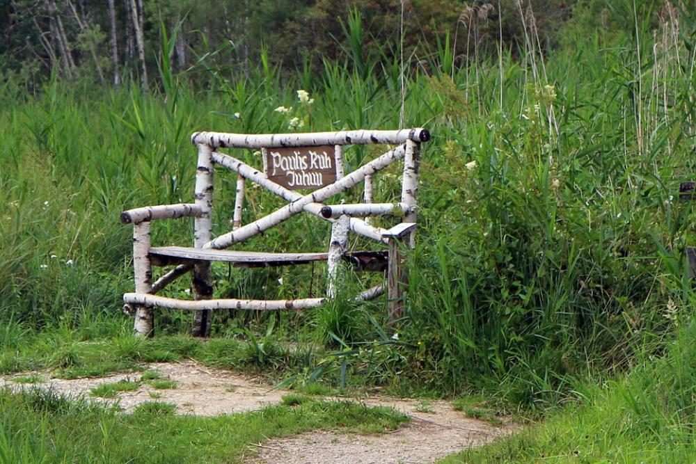 Seat Wooden Bench Bench Nature Out Bank Sit Seat Wooden Bench Bench Nature Out Bank Sit