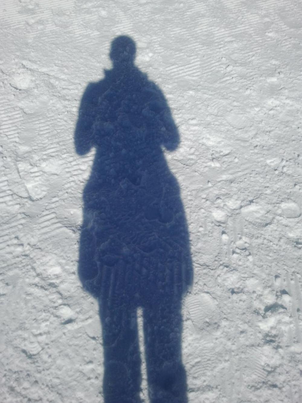 Shadow Shadow Play Winter Snow Shadow Shadow Play Winter Snow