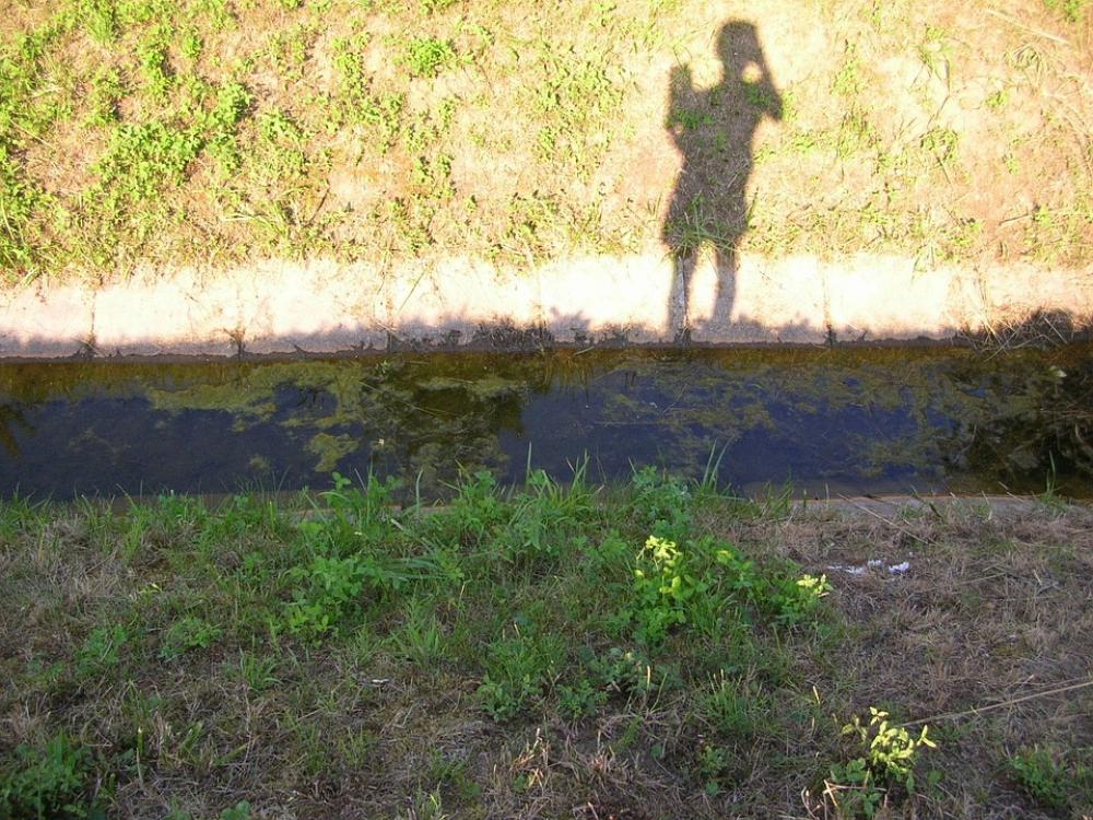 Shadow Light And Shadow Shadow Play Outline Shadow Light And Shadow Shadow Play Outline