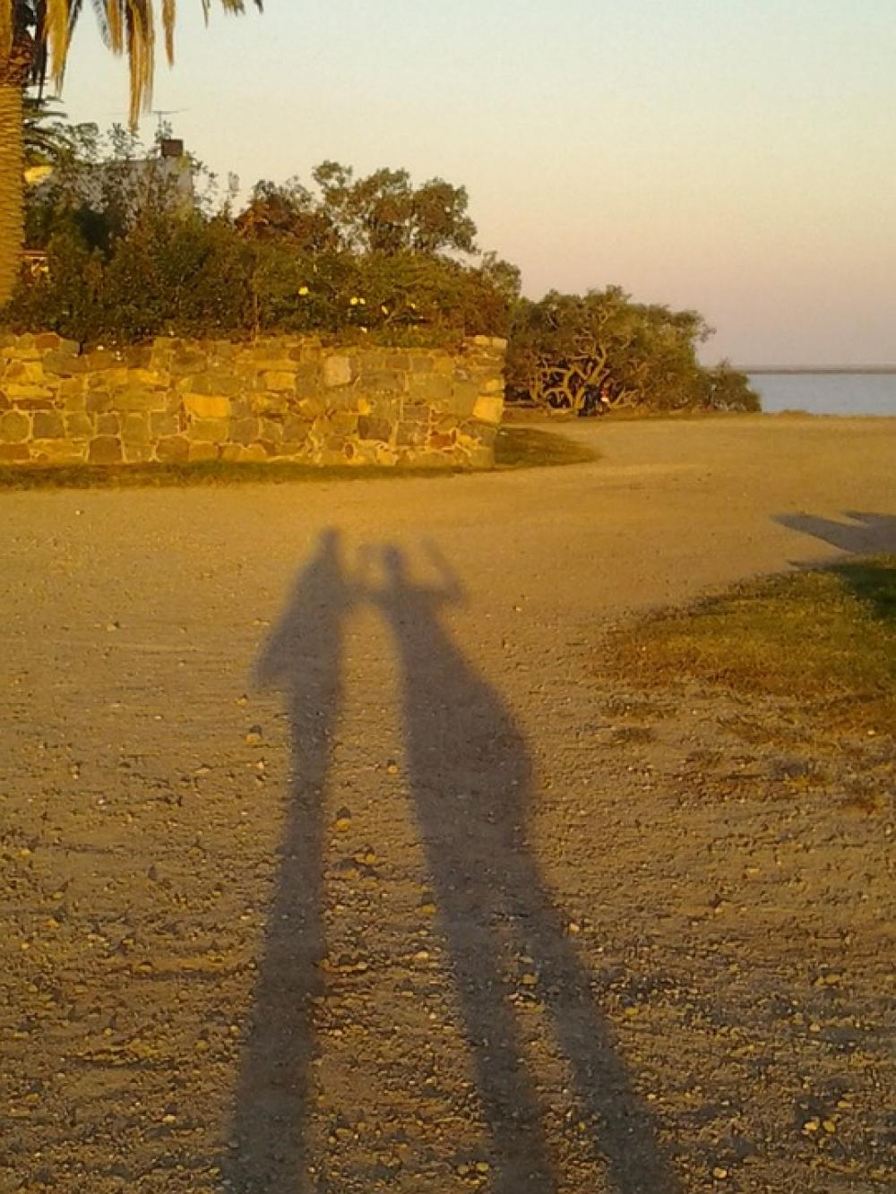 Shadows Light And Shadow Photo Shadows Light And Shadow Photo
