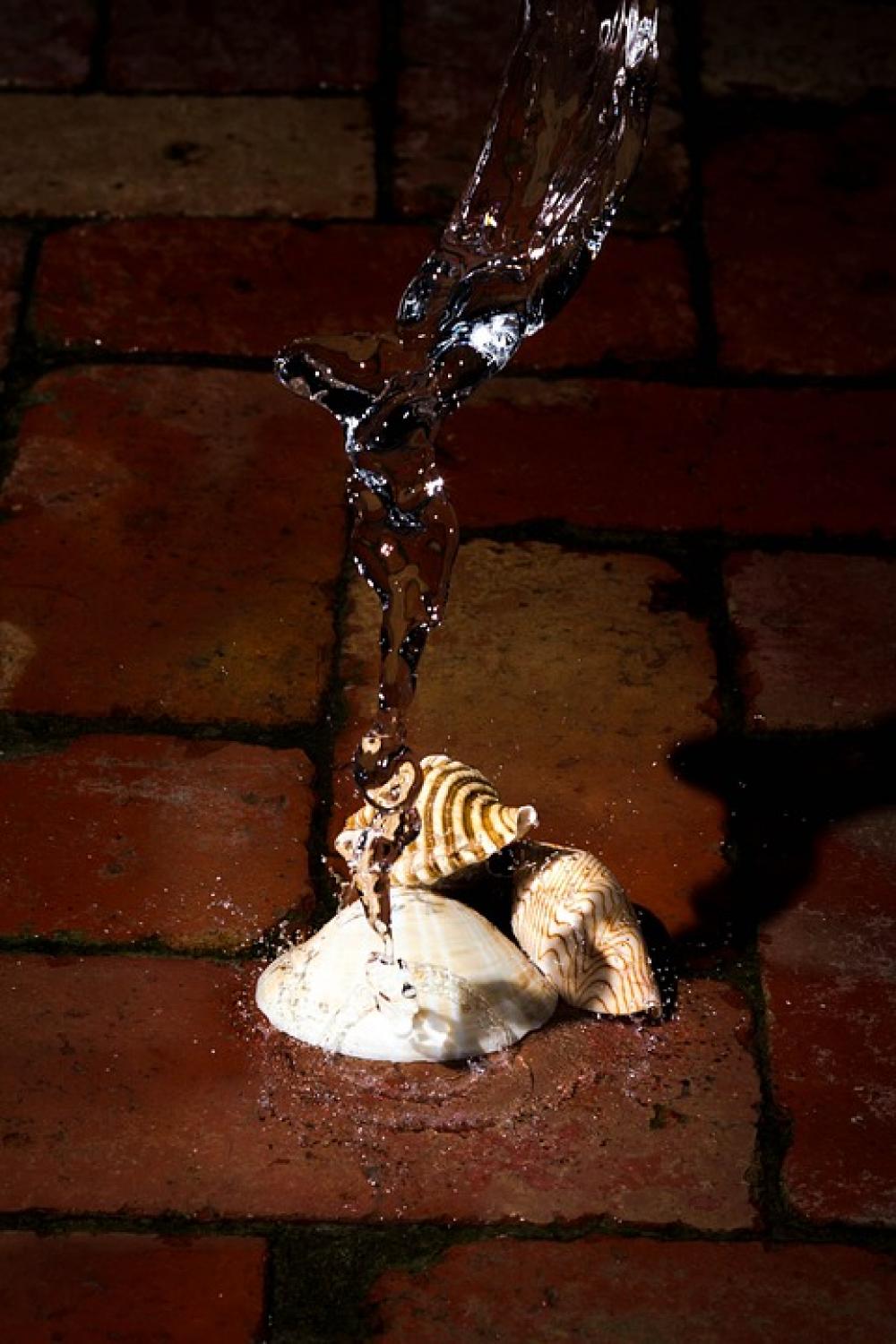 Shells Water Freeze Splash Bricks Brick Shells Water Freeze Splash Bricks Brick