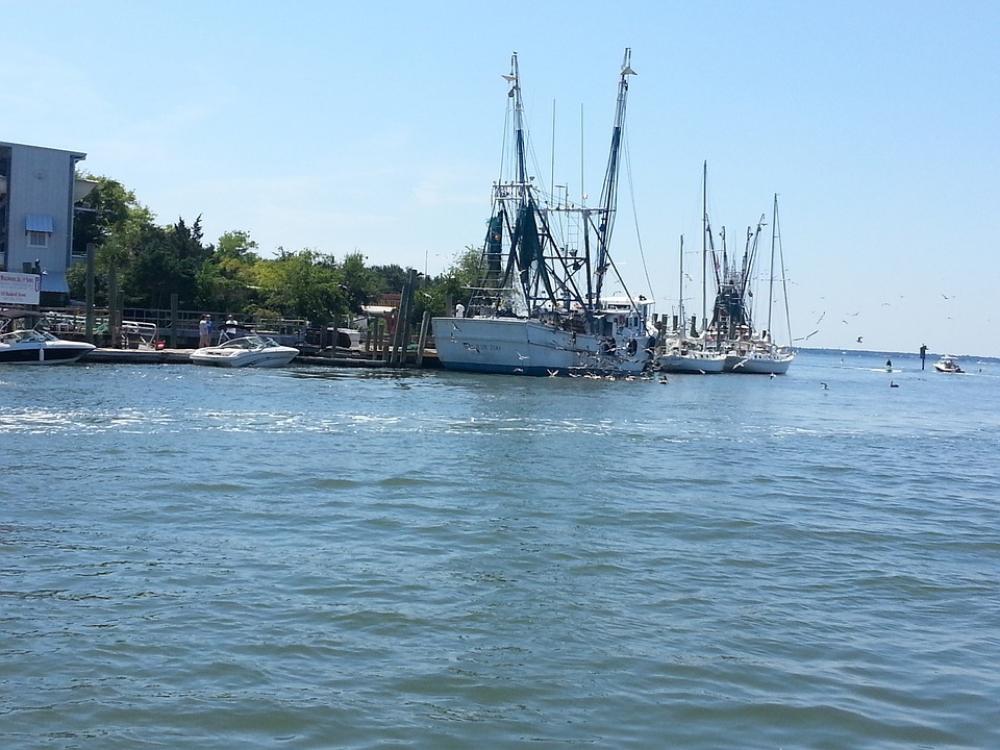 Shrimper Shrimp Boat Water Boat Shrimper Shrimp Boat Water Boat