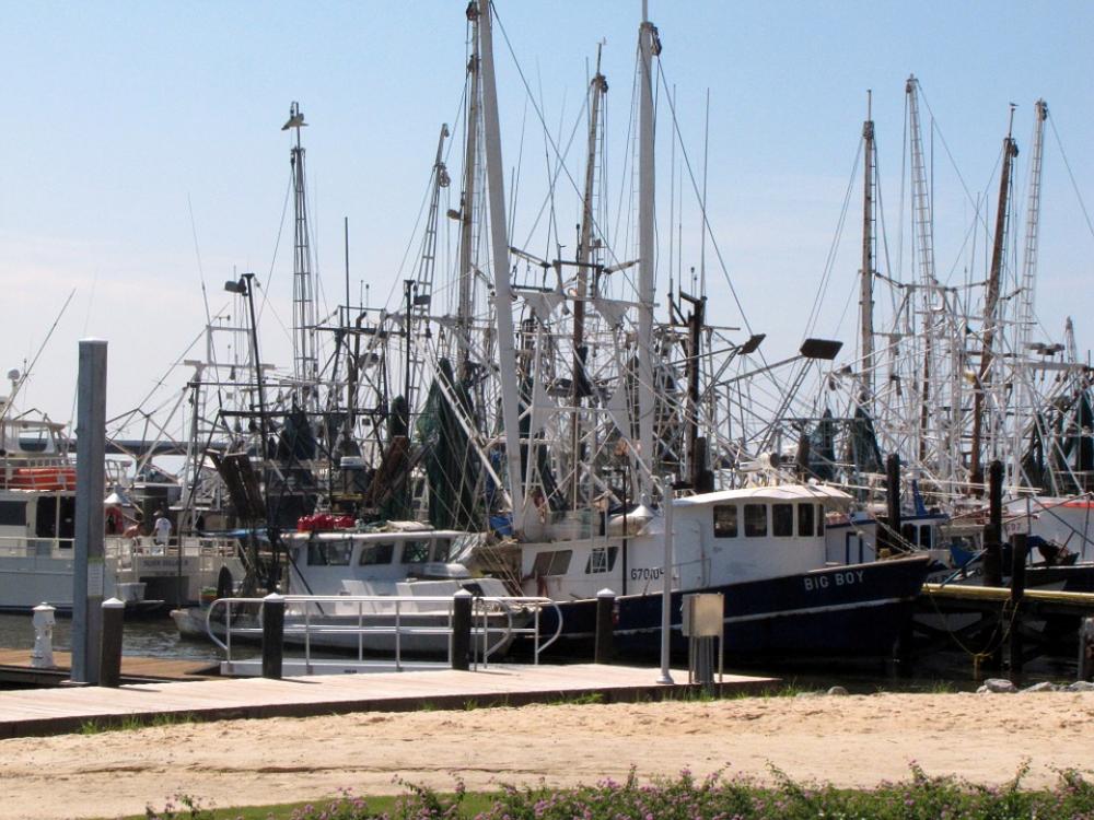 Shrimping Boats Gulf Coast Ms Beach Fishing Dock Shrimping Boats Gulf Coast Ms Beach Fishing Dock