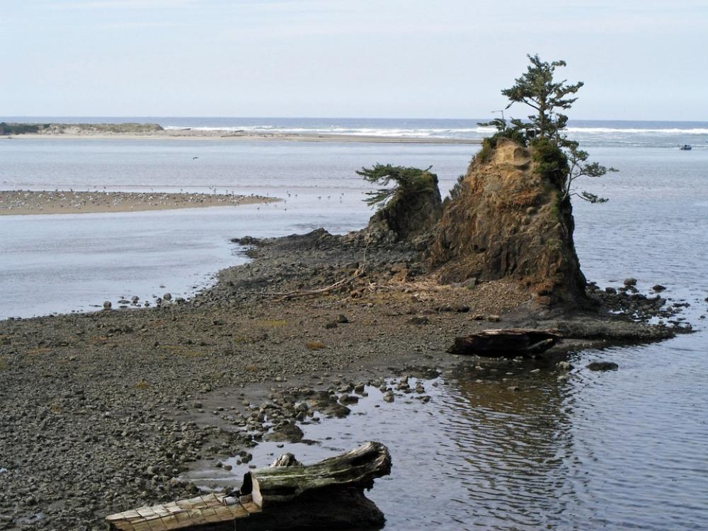 Siletz Bay Oregon Coast Pacific Rock Taft Beach Siletz Bay Oregon Coast Pacific Rock Taft Beach