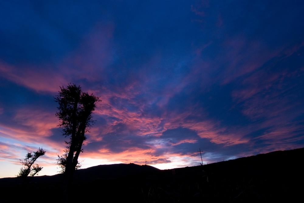 Silhouette Tree Sky Clouds Sunset Blue Nature Silhouette Tree Sky Clouds Sunset Blue Nature