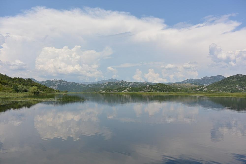 Skadar Lake Montenegro Journey Cruise Water Skadar Lake Montenegro Journey Cruise Water