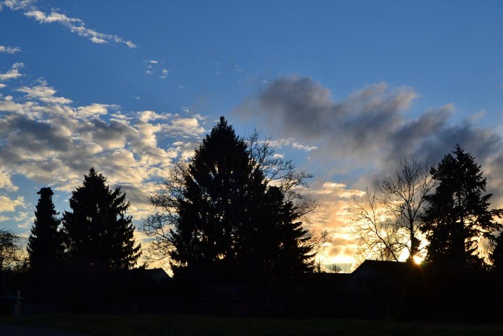 Sky Blue Clouds Trees Grey Orange Evening Sky Sky Blue Clouds Trees Grey Orange Evening Sky