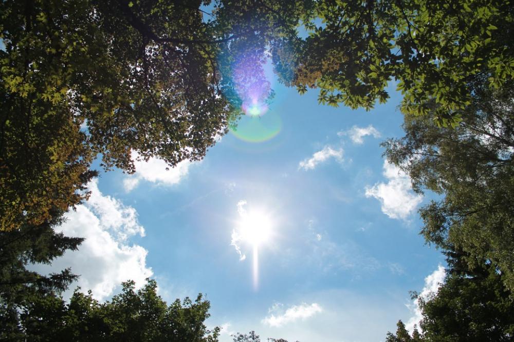 Sky Sun Blue White Trees Nature Summer Wide Sky Sun Blue White Trees Nature Summer Wide