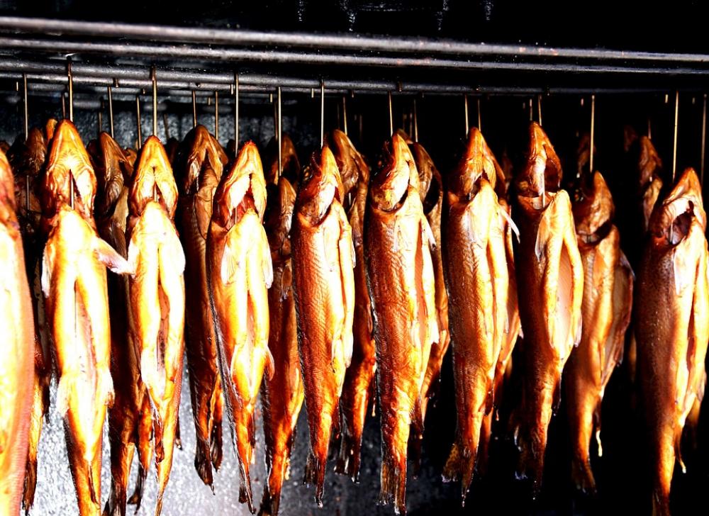 Smoked Trout Smoking Oven Trout Fish Festival Smoked Trout Smoking Oven Trout Fish Festival