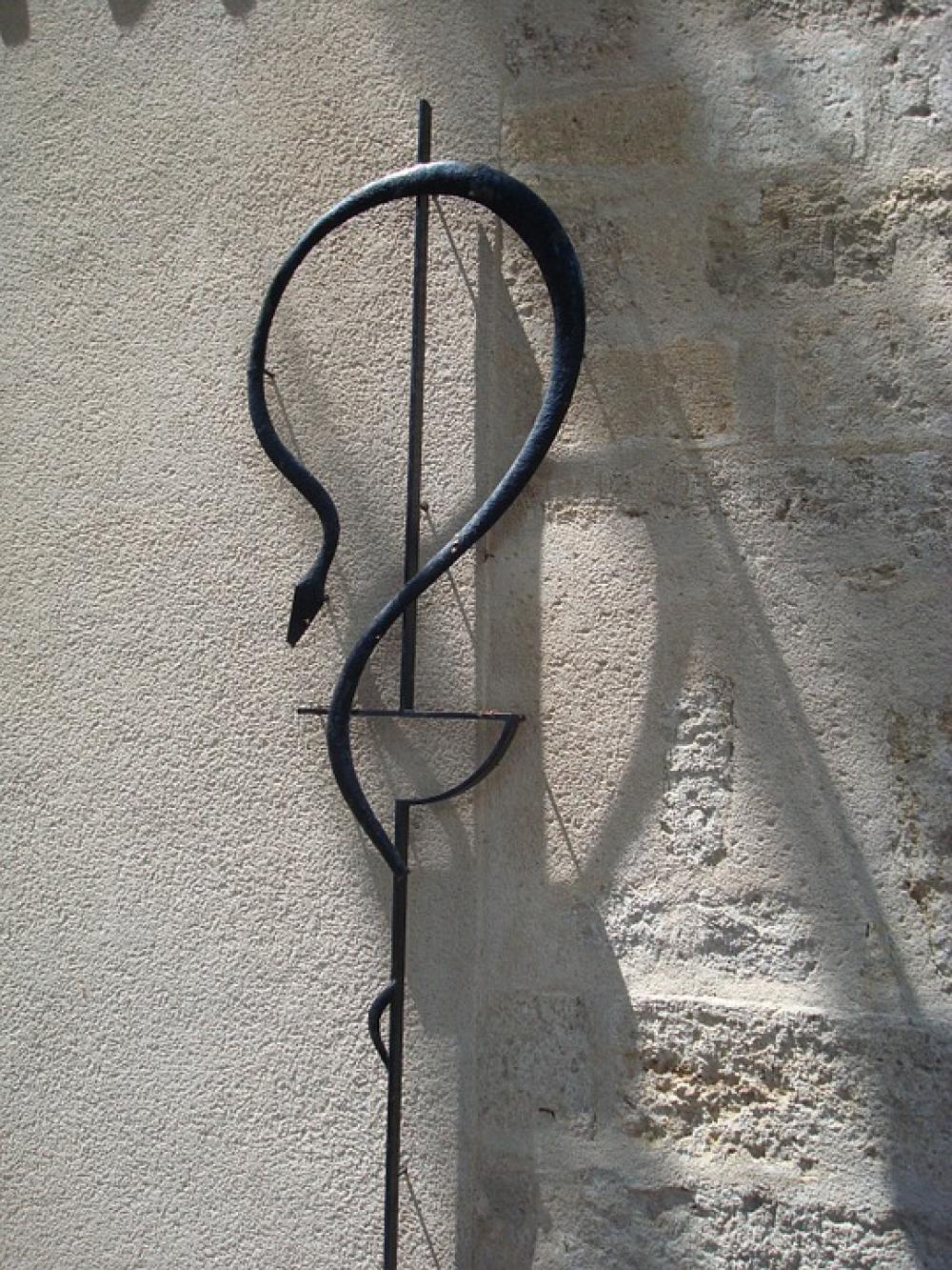 Snake Pharmacy Reptile Aesculap Aesculapstab Wall Snake Pharmacy Reptile Aesculap Aesculapstab Wall