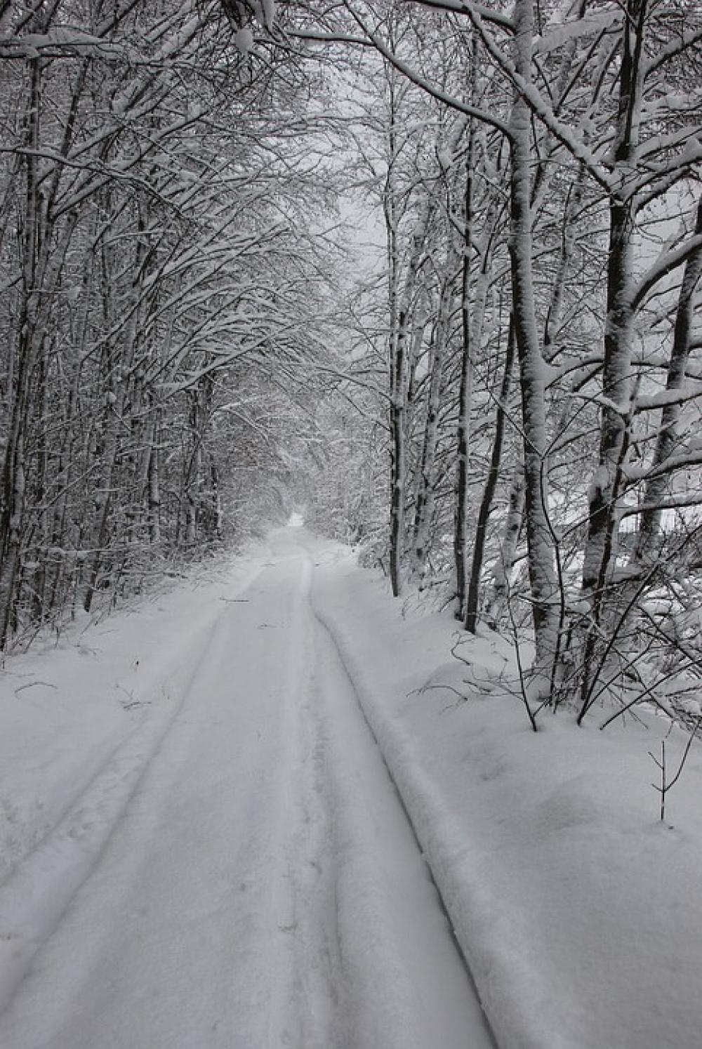 Snow Snow Tracks Tire Tracks Away Snowy Snow Snow Tracks Tire Tracks Away Snowy