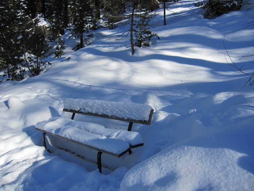 Snow Winter Snowy Winter Magic Wintry Snow Winter Snowy Winter Magic Wintry