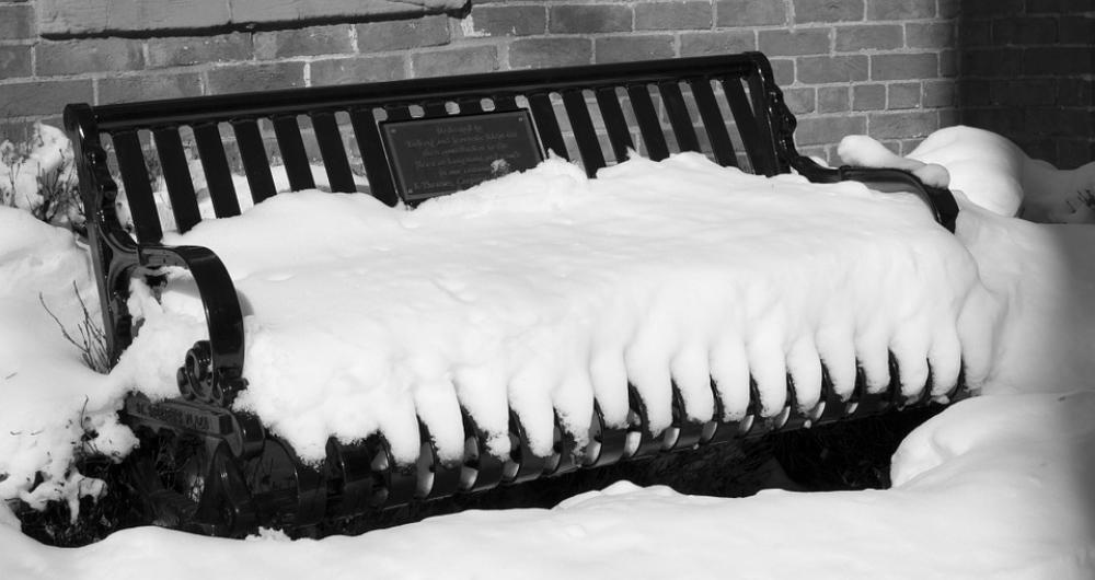 Snow Bench White Day Winter Colorado Cold Snow Bench White Day Winter Colorado Cold