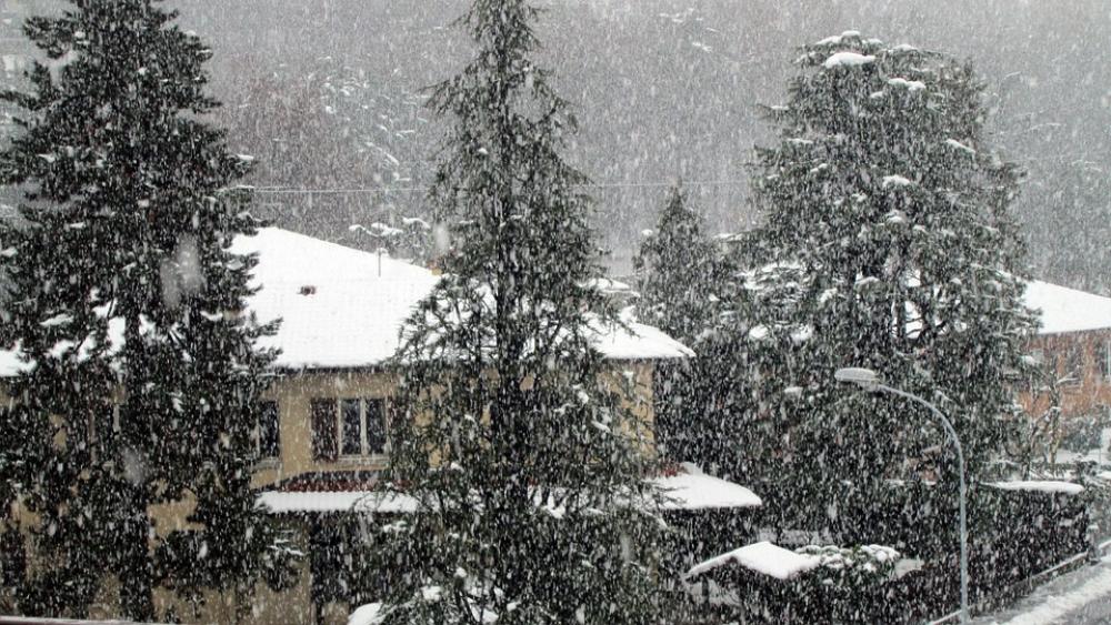 Snow Winter Cold Snow Winter Cold