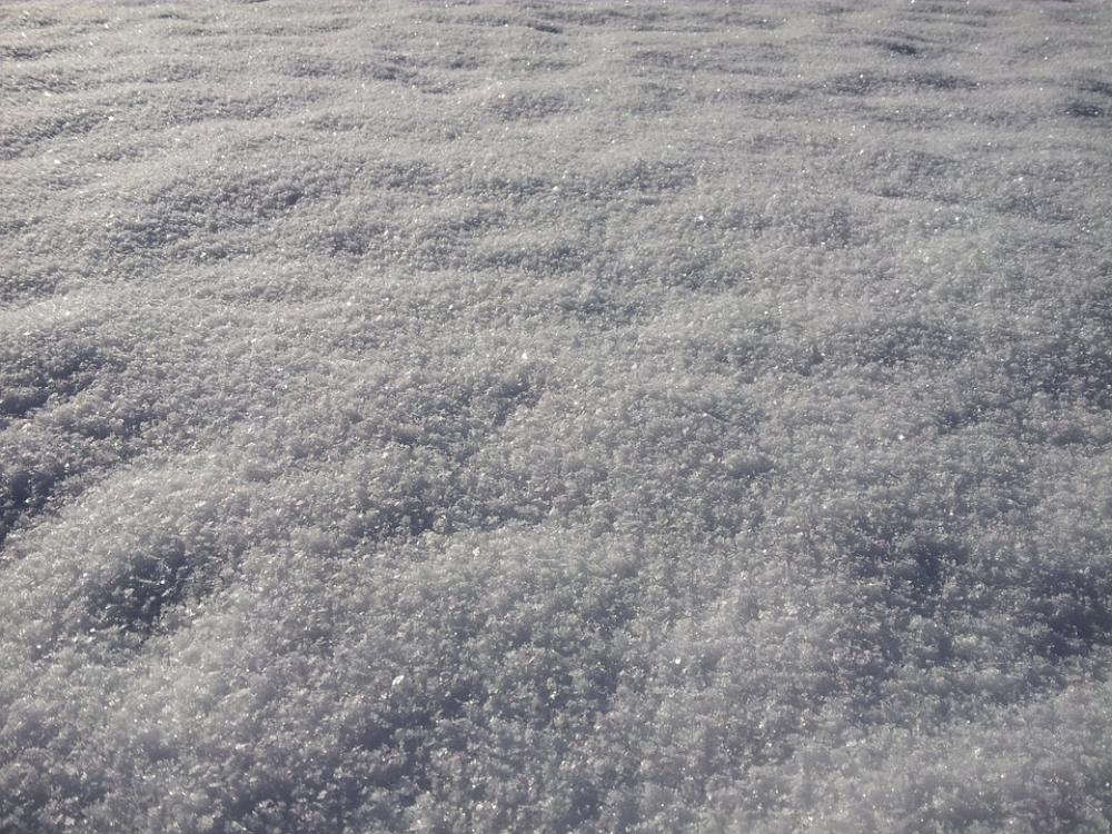 Snow Soil Winter Snow Soil Winter