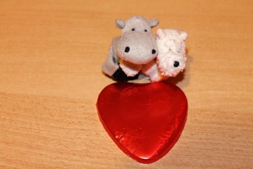 Soft Toys Love Affection Plush Toys Soft Toys Love Affection Plush Toys