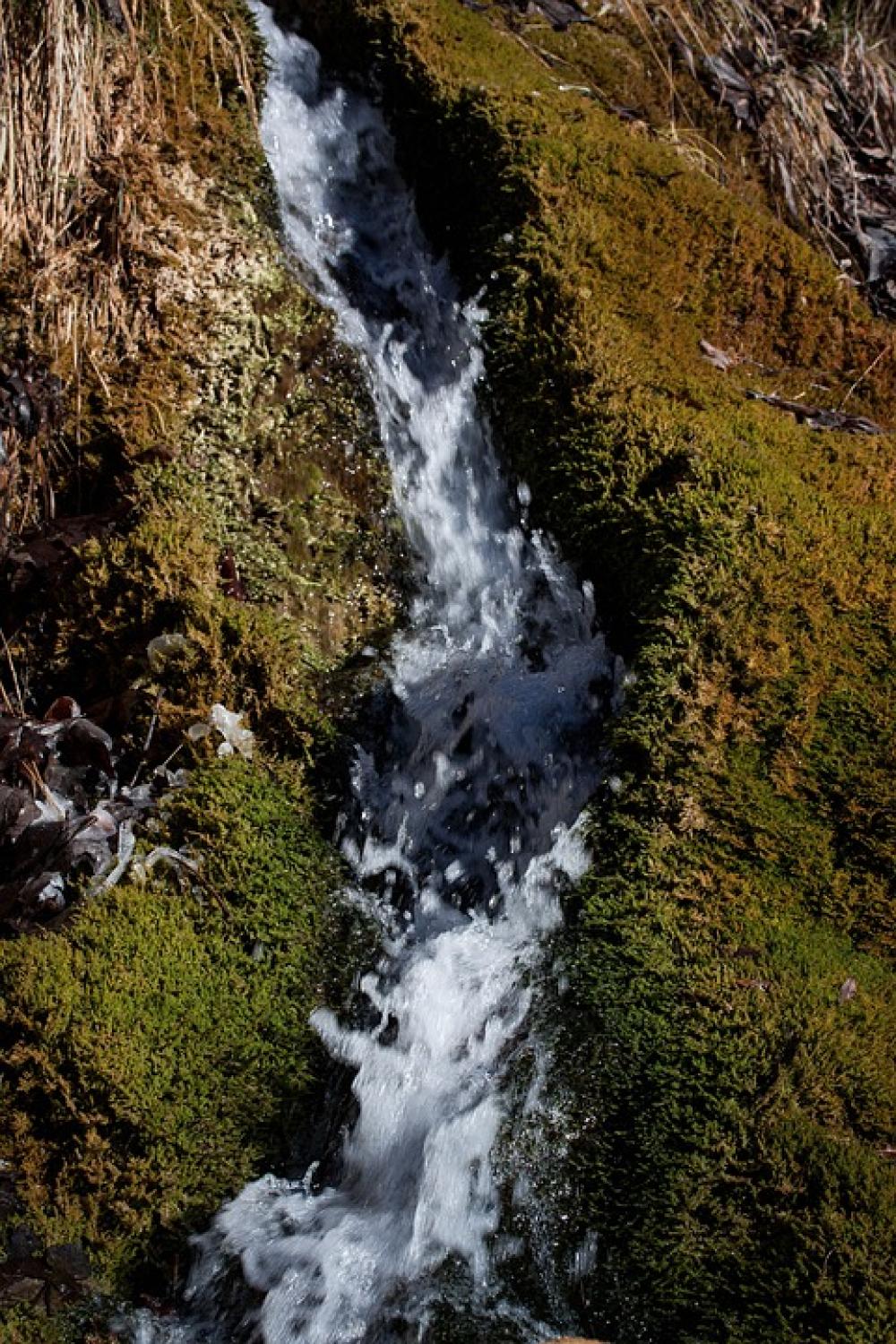 Source Bach Water Bubble Idyll Moss Green Nature Source Bach Water Bubble Idyll Moss Green Nature
