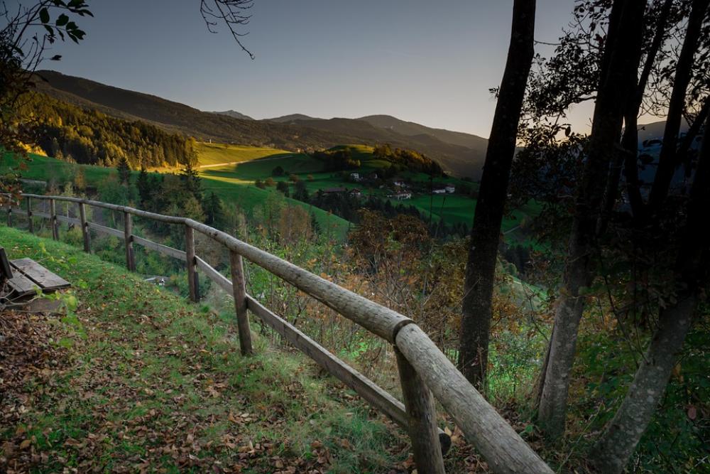 South Tyrol Autumn Nature Forest Landscape Italy South Tyrol Autumn Nature Forest Landscape Italy