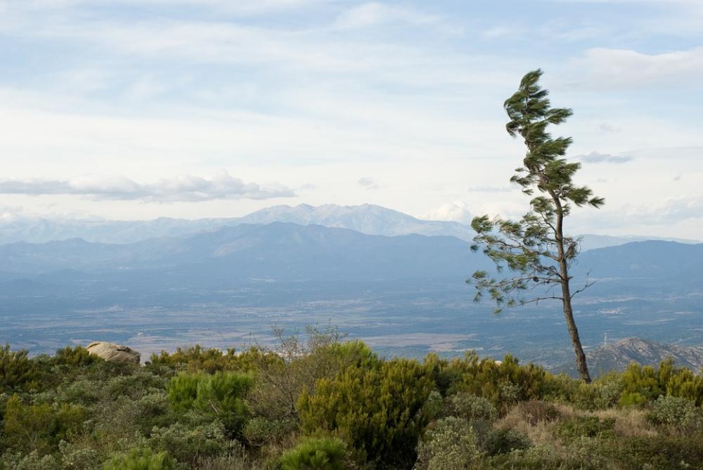 Spain Tree Mountains Nature Spring Land Day Wind Spain Tree Mountains Nature Spring Land Day Wind