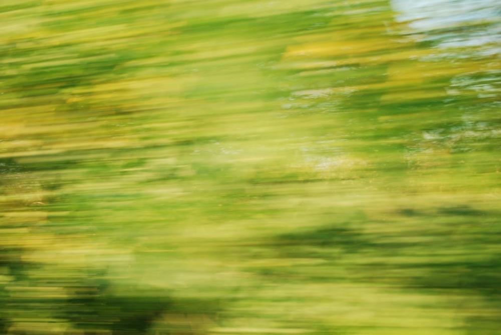 Speed Colors Rush Trees Speed Colors Rush Trees