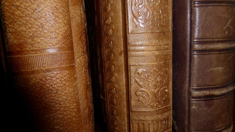 Spine Books Antiquariat Old Old Book Antiquarian Spine Books Antiquariat Old Old Book Antiquarian