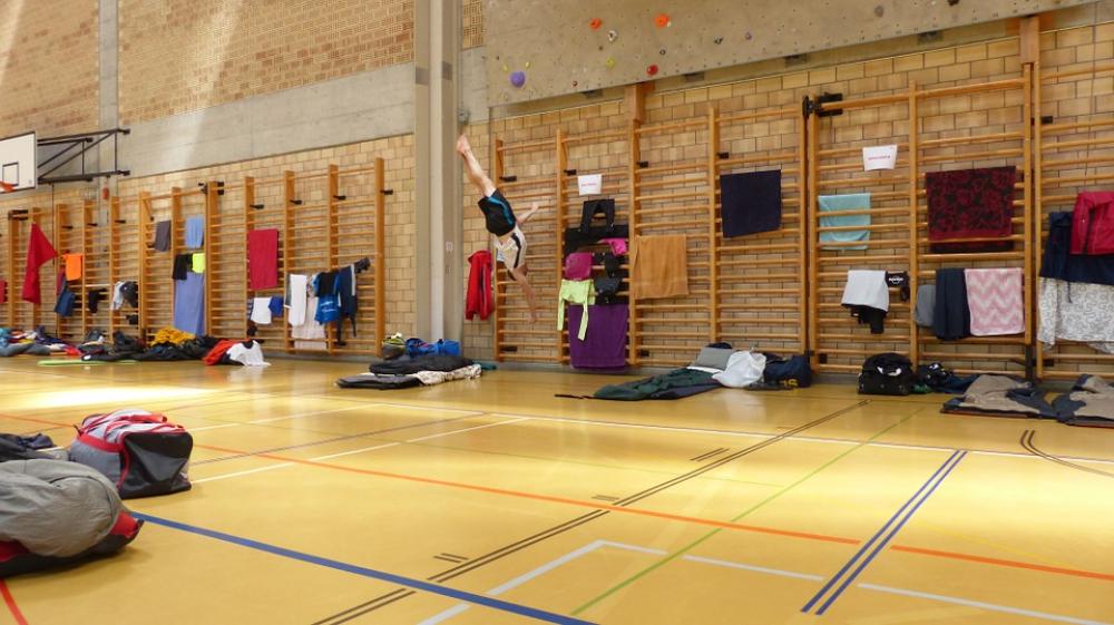 Sports Hall Gymnastics Hall Wall Bars Sports Hall Gymnastics Hall Wall Bars