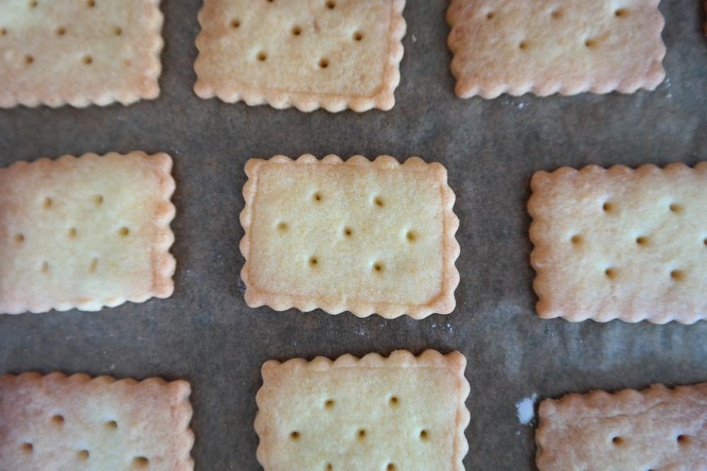 Springerle Cookie Aniseed Biscuits Springerli Springerle Cookie Aniseed Biscuits Springerli