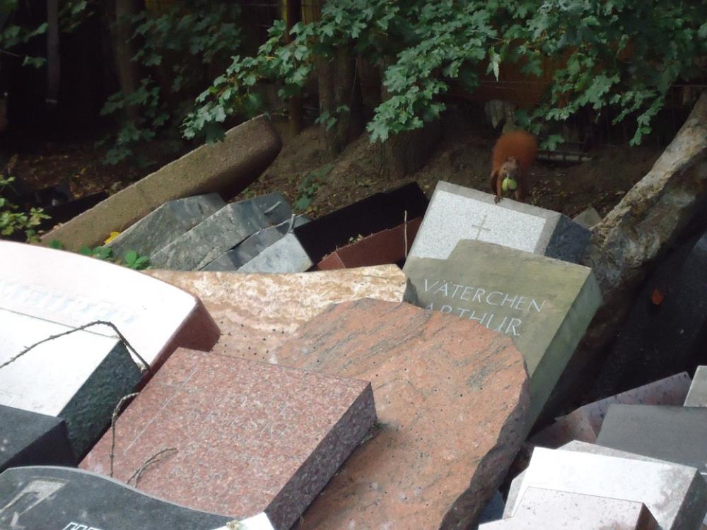 Squirrel Cemetery Tombstone Apple Mourning Squirrel Cemetery Tombstone Apple Mourning