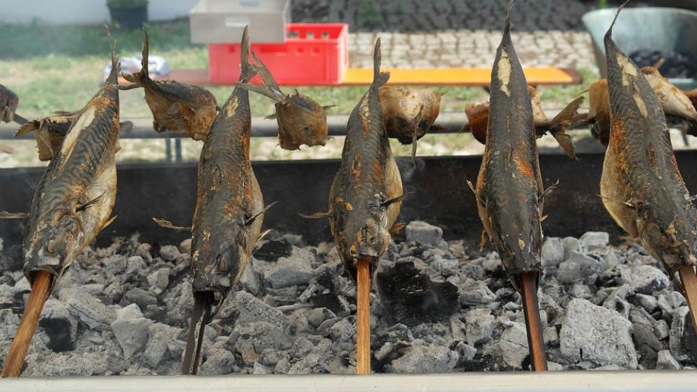 Steckerlfisch Mackerel Grill Fish Charcoal Fire Steckerlfisch Mackerel Grill Fish Charcoal Fire
