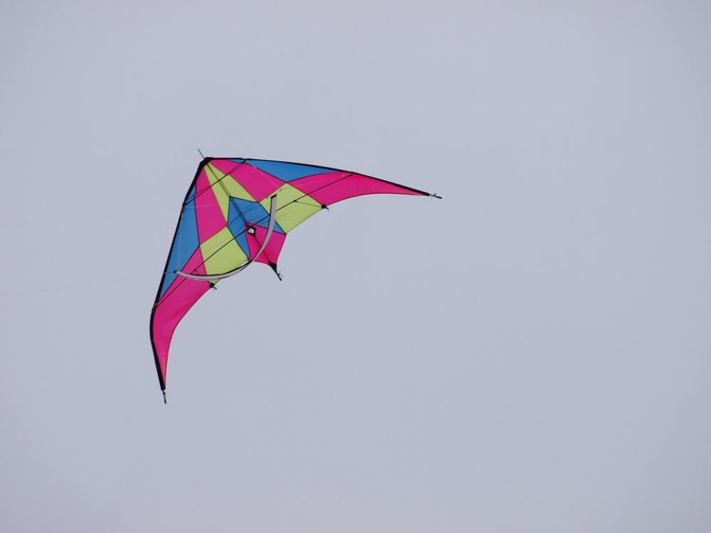 Steering Dragon Dragon Rising Flying Wind Pink Steering Dragon Dragon Rising Flying Wind Pink