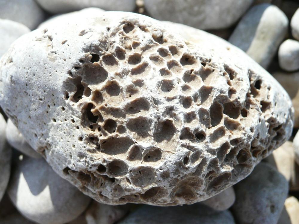 Stone Pebble Erosion Stone Pebble Erosion