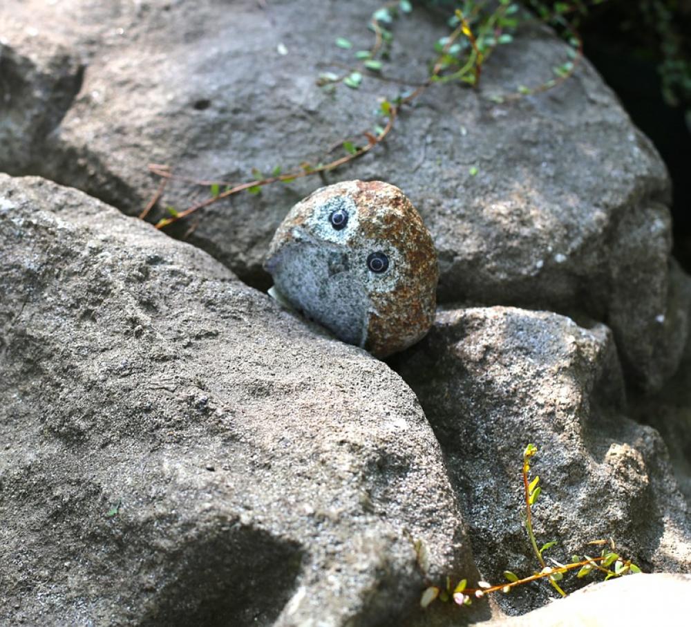 Stone Owl Bird Stone Owl Bird