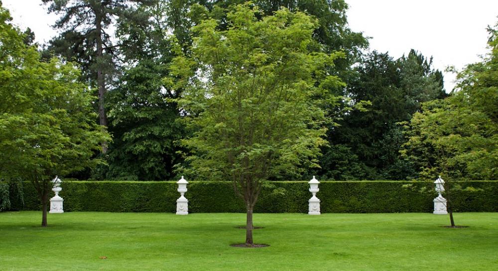 Stone Urns Urns Lawn Trees Hedge Trimmed Outdoor Stone Urns Urns Lawn Trees Hedge Trimmed Outdoor