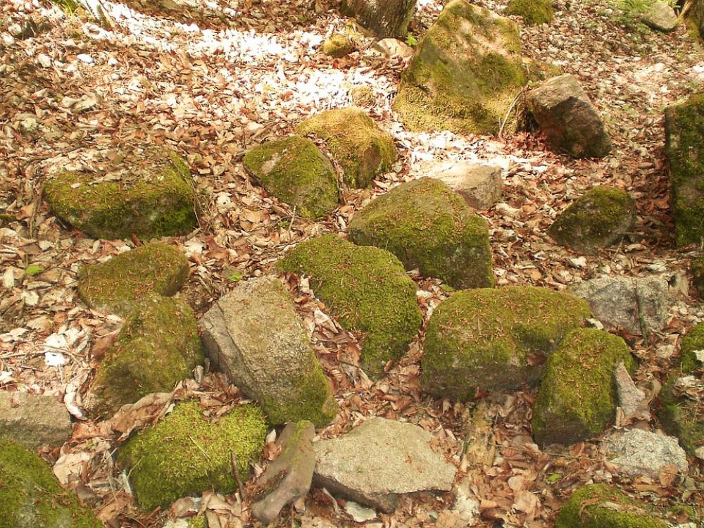 Stones Nature Moss Weathered Forest Floor Stones Nature Moss Weathered Forest Floor