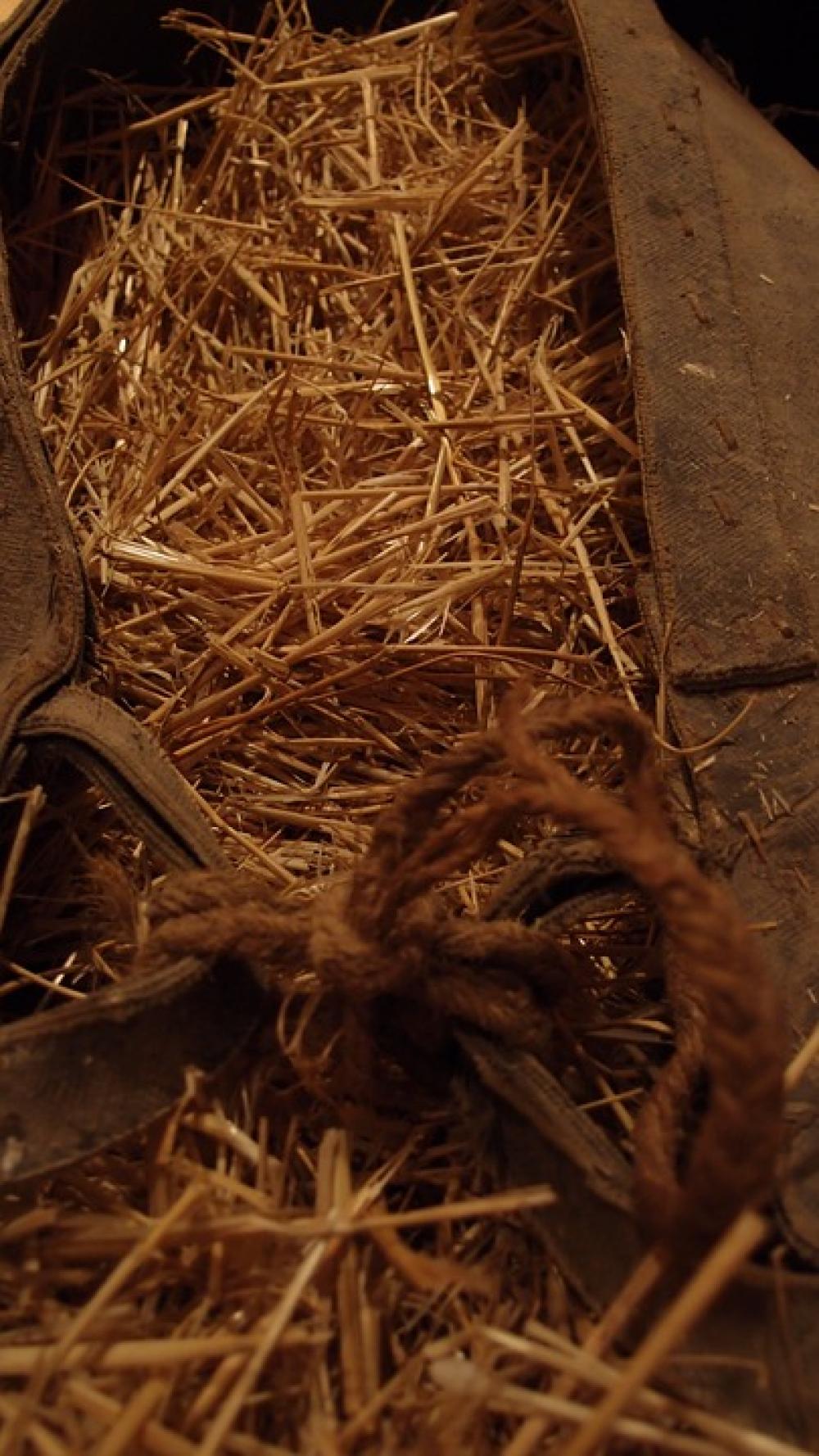 Straw Donkey Agriculture Traditional Wheat Straw Donkey Agriculture Traditional Wheat