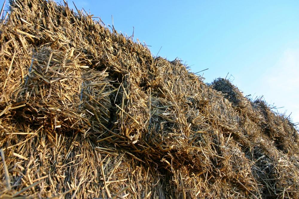 Straw Dare Straw Bales Agriculture Rural Harvest Straw Dare Straw Bales Agriculture Rural Harvest