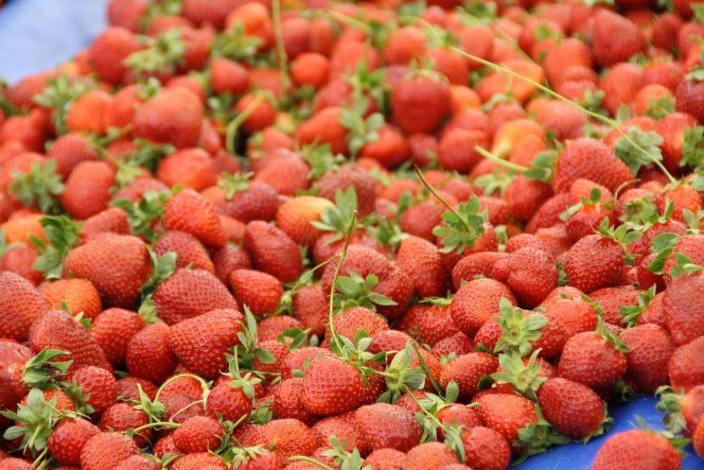 Strawberries Red Berries Fruits Fruit Fresh Strawberries Red Berries Fruits Fruit Fresh