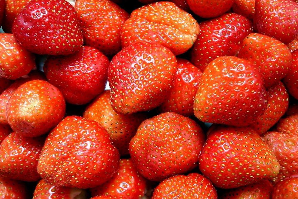 Strawberries Fruit Sweet Delicious Red Zuckrig Strawberries Fruit Sweet Delicious Red Zuckrig