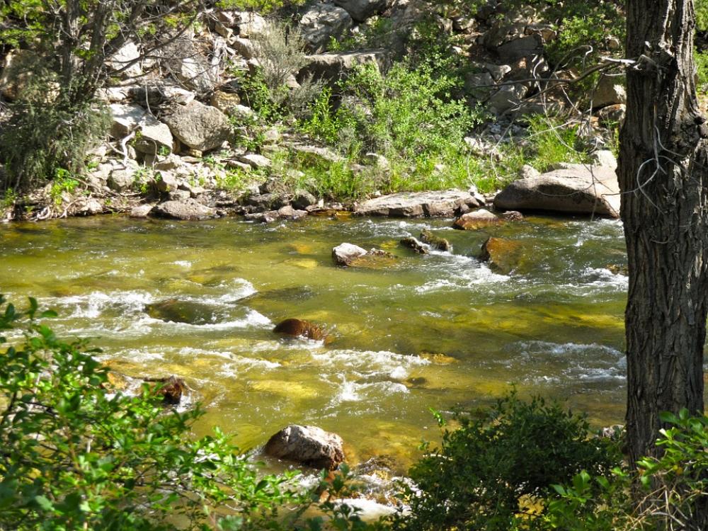Stream Creek Flowing Landscape Nature Rock Water Stream Creek Flowing Landscape Nature Rock Water