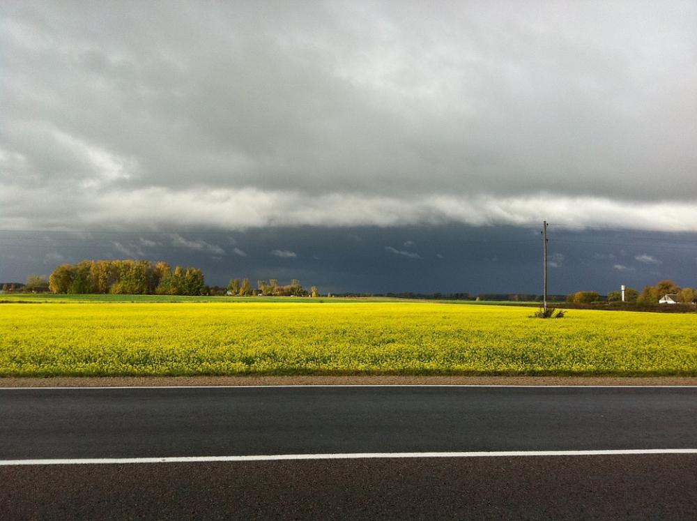 Street Sun Nature Sky Landscape Cloud Horizon Street Sun Nature Sky Landscape Cloud Horizon