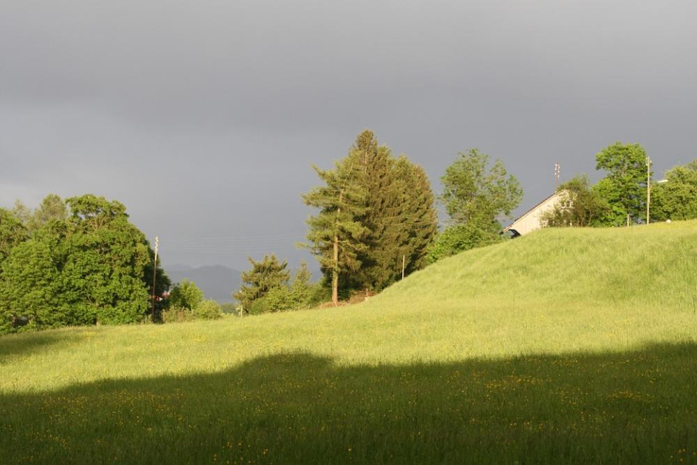 Sun Pasture Clouds Sun Pasture Clouds