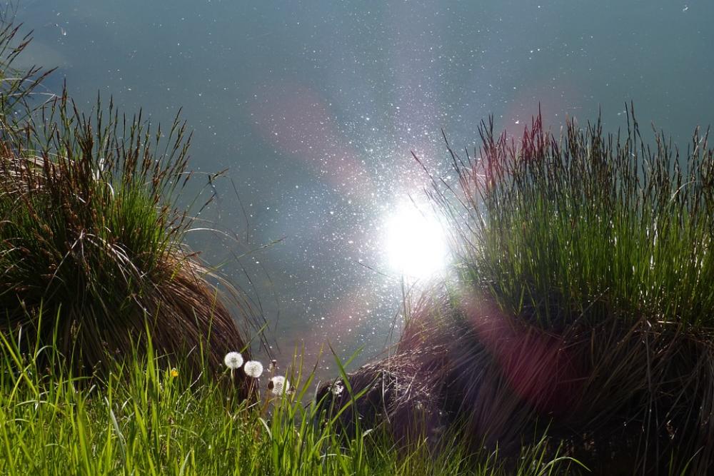 Sun Reflection Water Bank Grass Sun Reflection Water Bank Grass