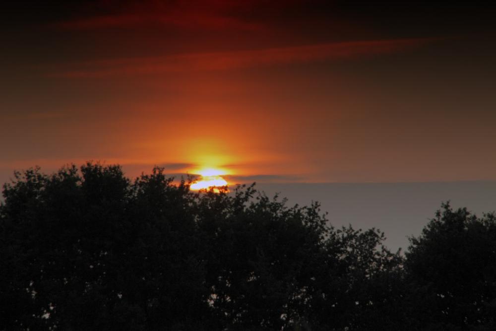 Sun Sunset Sky Scene Beauty Background Landscape Sun Sunset Sky Scene Beauty Background Landscape